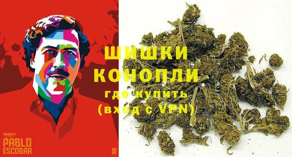 тгк Беломорск