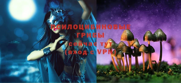 a pvp Белоозёрский